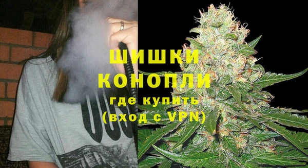 ГАЛЛЮЦИНОГЕННЫЕ ГРИБЫ Белоозёрский