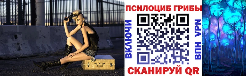 Псилоцибиновые грибы Magic Shrooms  маркетплейс какой сайт  Магас  цены наркотик 